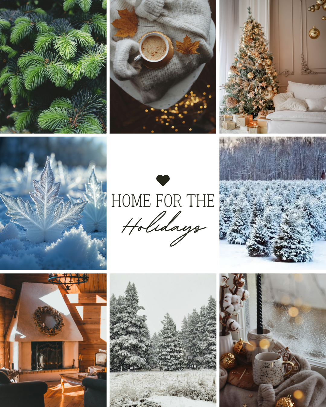 Home for the Holidays